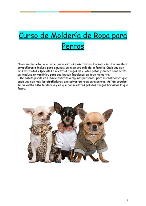 Curso De Molderia De Ropa Para Perros Pdf Versi N Curso De