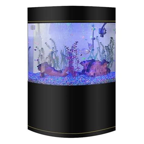 I Tested The 46 Gallon Bow Front Aquarium Here S Why It S The Perfect