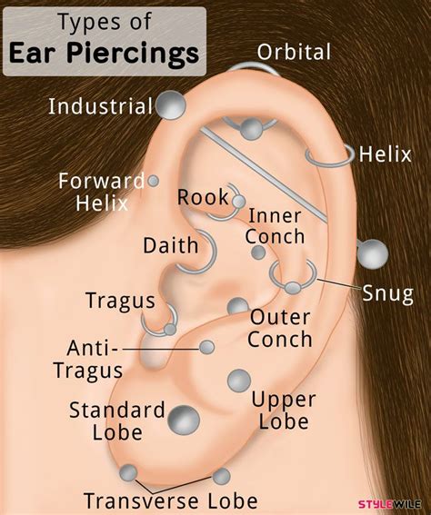 Different Type Of Ear Piercings