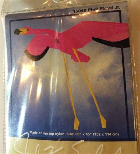 Pink Floyd Jr Flamingo Bird Go Fly A Kite Joel K Scholz Signature ...