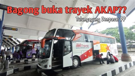 Bagong Buka Trayek Denpasar Tulungagung Review Bus Bagong Mtrans