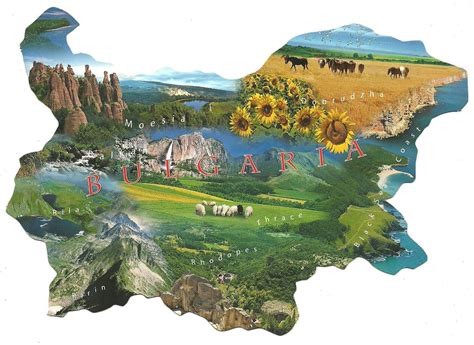 Country of Ukraine: Sunflowers and Mountains