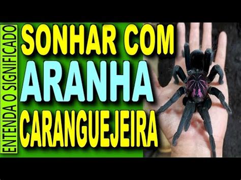 SONHAR ARANHA CARANGUEJEIRA O QUE SIGNIFICA SONHAR ARANHA