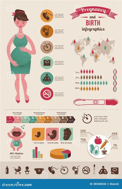 Pregnancy And Birth Infographics Icon Set Stock Vector Illustration