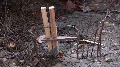 Dual Purpose Snare Trap Part 1 Small Game Snare Youtube