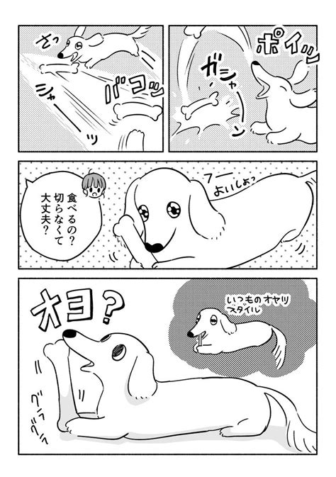 「大きめオヤツと犬22」ちとせの漫画