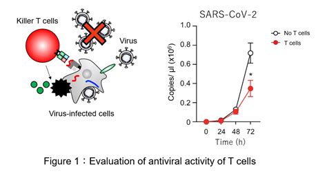 The Sars Cov Omicron Ba Spike G S Mutation Potentiates Antiviral