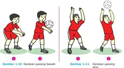 Teknik Dasar Bola Voli Brainly Wanjay