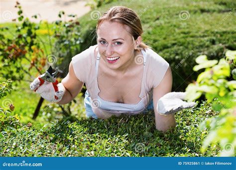 Portrait Of Female Gardener Trimming Green Hedge In Yard Stock Image Image Of Clipper