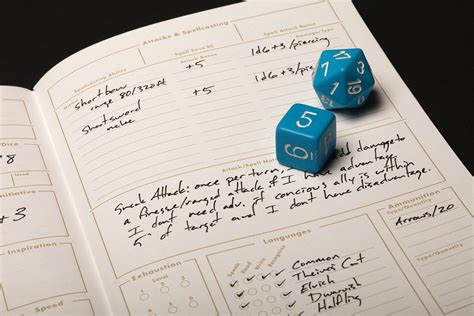 Field Notes 5e Character Journals For Dungeons And Dragons — Tools And Toys