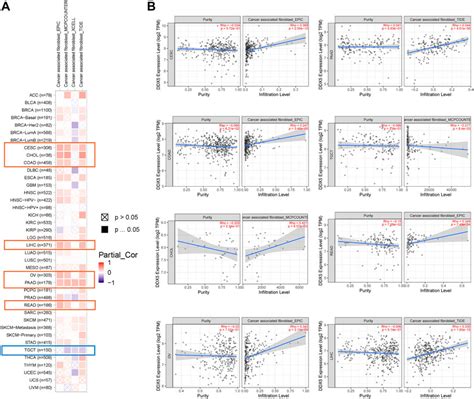 Frontiers Pan Cancer Analysis Of The Prognostic And Immunological