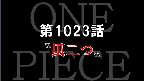 【感想】ワンピース第1023話「瓜二つ」ゾロの血筋確定『リューマ→牛マル→ゾロ』？