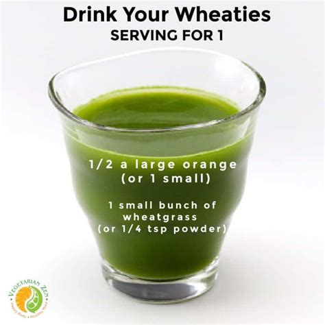 Energy Boosting Wellness Shots Vegetarian Zen