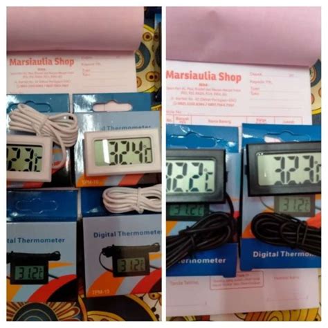 Jual Digital Thermometer Tpm10 Hygrometer With Probe Mini Temperatur