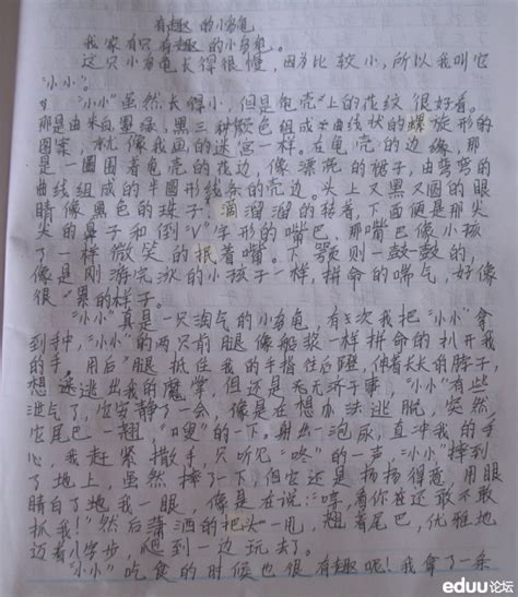 写家乡一处风景作文200字