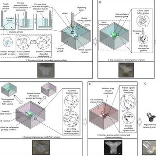 Schematic Of Two Step Gelation Approach Based On Reversible Thermal