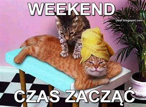 czas zacząć weekend Śmieszne Obrazki i Gify