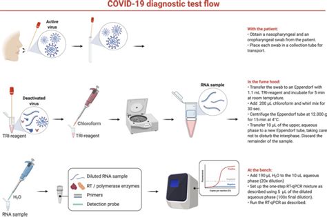 A Simple Safe And Sensitive Method For Sars Cov 2 Inactivation And Rna