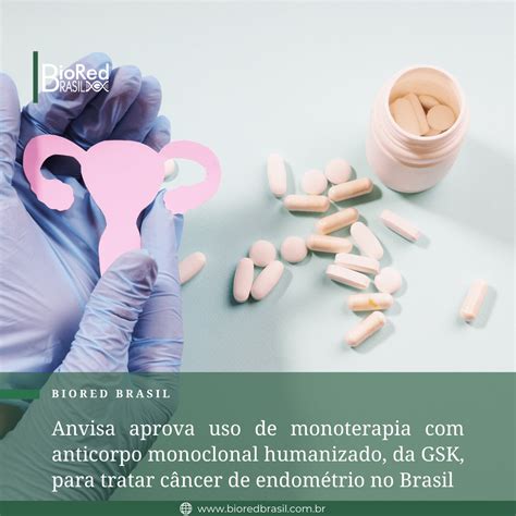 Monoterapia O Que É - Anvisa aprova uso de monoterapia com anticorpo monoclonal humanizado ...