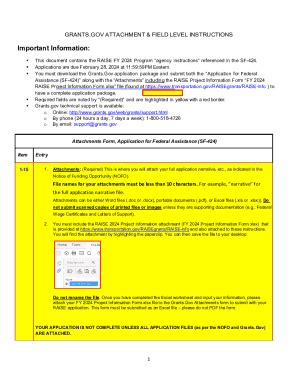 Fillable Online Apply07 Grants Completing The SF 424 And Project