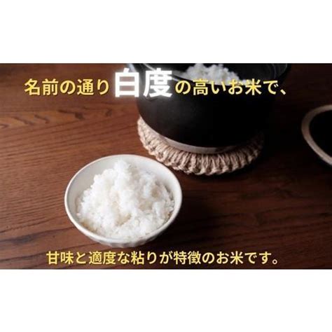 ふるさと納税 米 埼玉県 加須市 令和6年産 新米 埼玉ブランド米 彩のかがやき 3kg 埼玉ブランド米 彩のかがやき 3kg