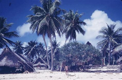 Ulithi Atoll Pictures Of Wwii Part 1 Of 2 Gallery Ebaums World