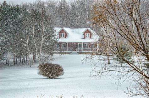 Winter Pest Control Checklist Every Homeowner Must Follow - FARMHOUSE 40