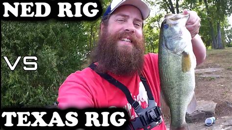 TEXAS RIG Vs NED RIG Easy Bass Fishing Tips To Catch More Bass YouTube