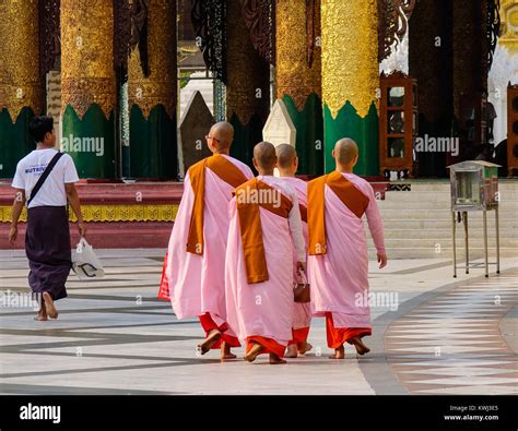 Yangon Myanmar Feb 26 2016 Buddhist Nuns Walking At Shwedagon Pagoda In Yangon Myanmar