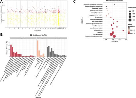 Putative Regulation Of Erna Biogenesis In Sle Pbmcs A Putative