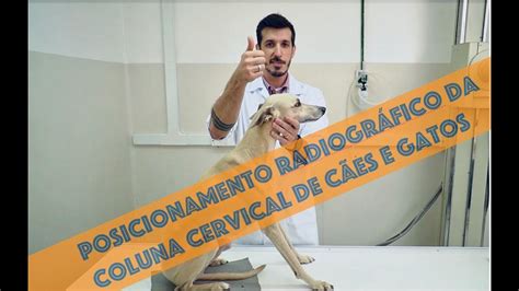 Posicionamento radiográfico da coluna cervical de cães e gatos YouTube