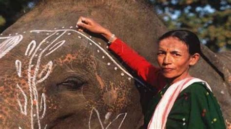 Padma Awards 2024 List Of Winners Out India S First Female Elephant