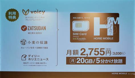 “ホリエモンのmvno”誕生の舞台裏 あえてahamoより高く、今後も「 モバイル」は増やす：mvnoに聞く（13 ページ