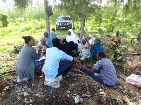 Milele Zanzibar Foundation Linkedin