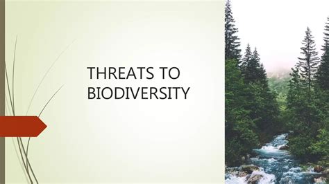 Threats To Biodiversity Ppt