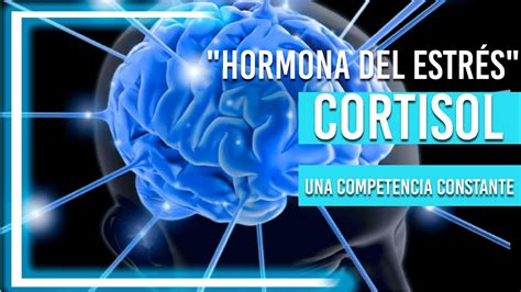 Cortisol Y Que Lo Sube Hormona Del Estrés Youtube