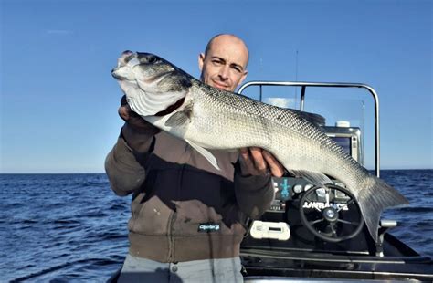 Guide Ultime de Pêche au Bar du Bord en France Techniques et Spots