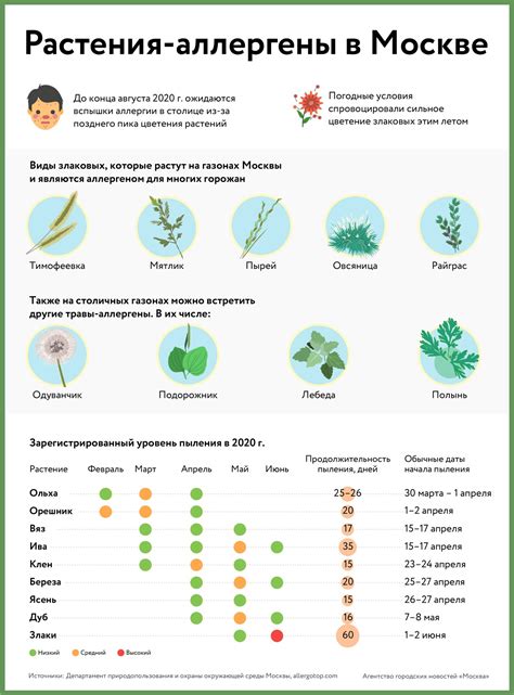 Растения-аллергены в Москве - Агентство городских новостей «Москва ...