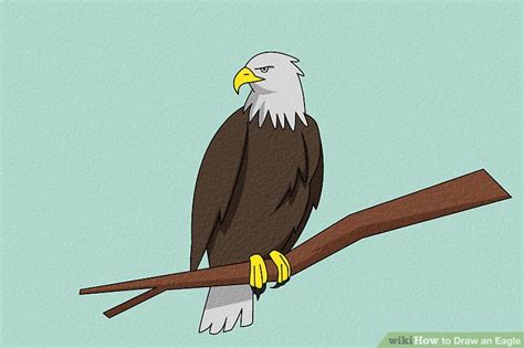 4 Ways To Draw An Eagle Wikihow