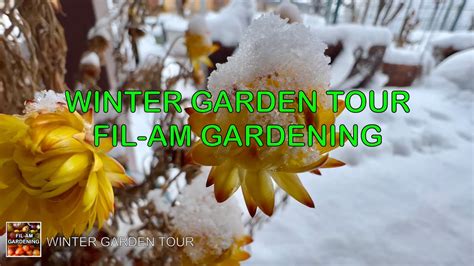 Winter Garden Tour Exploring Our Snowy Garden Retreat With Ambient