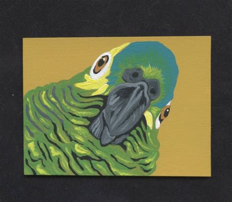 Aceo Atc Original Miniature Painting Blue Head Amazon Parrot Pet Bird