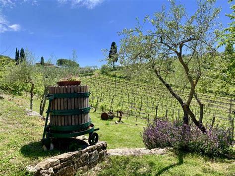 De Florence Visite Des Vignobles Du Chianti Avec D Gustation