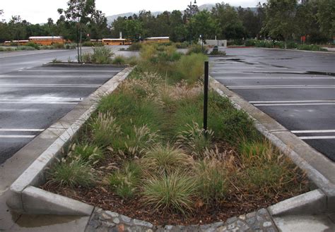 Parking Lot Bioswale Controls And Naturally Filters Parking Lot