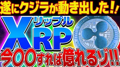 【リップルxrp】爆上げ間近！！リップル年末相場分析【仮想通貨】【ripple】【swell】【裁判】【sec】【12月】 │ 金融情報のまとめ