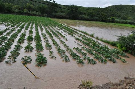 Agricultura Respalda Al Campo Mexicano Ante Desastres Naturales