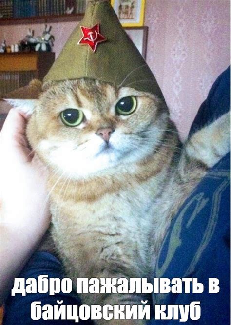Meme: "дабро пажалывать в байцовский клуб" - All Templates - Meme ...