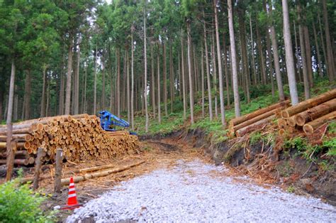 持続可能な森林管理へ 農林中金が7案件の助成決める │