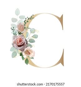 Floral Alphabet Letter C Watercolor Flowers Stock Illustration ...