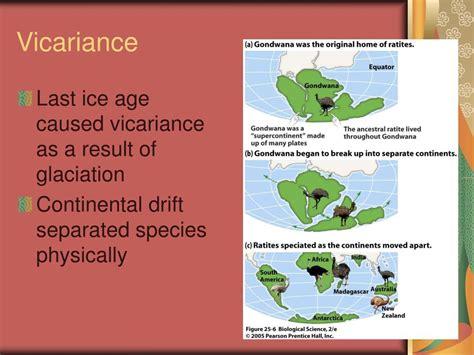 Ppt Speciation Powerpoint Presentation Free Download Id3009741