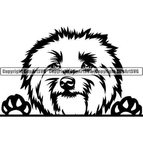 Lowchen Peeking Dog Breed Clipart Svg Clipart Svg